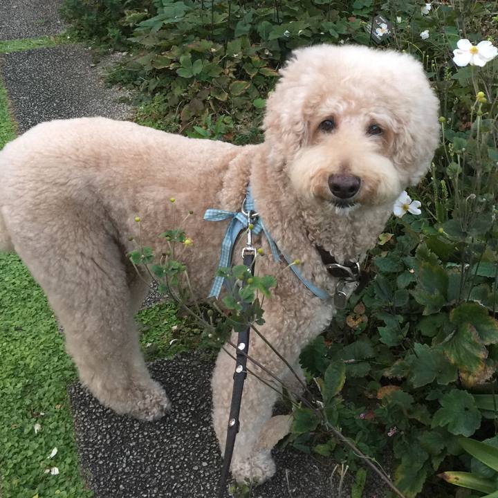 6277580d ed3c 49cb a1dc ad770a29c3db 1601980833583