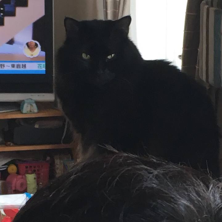 62776d77 f723 4bf0 9279 f3265fa2e825 1536714384687