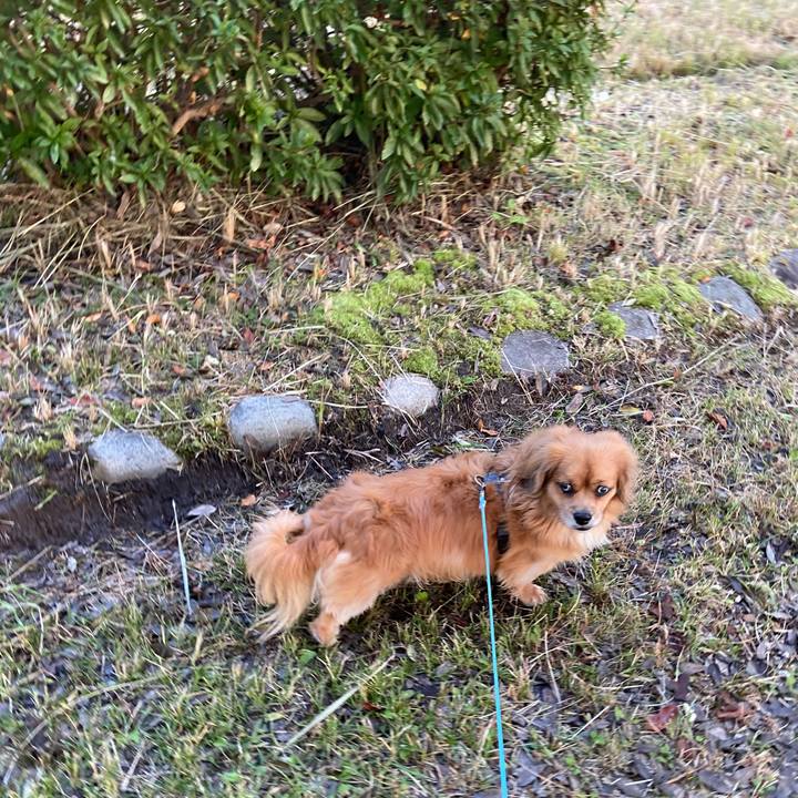 62778c22 9fe0 435b 88b7 c0bb663dabd7 1603923472926