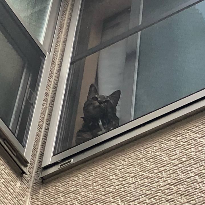 6277a7b7 ec4a 4120 b44c d51728aaa096 1525339860738