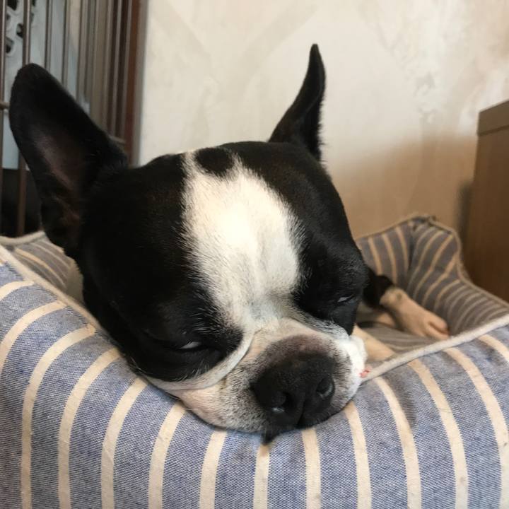 6277afee cfaa 4006 ba24 c9bf7e555d08 1601194116207