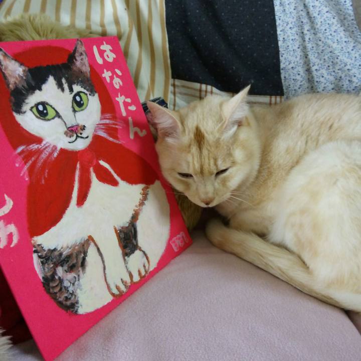 6277dc4a be6e 43da ba9d 9fff5c646b8c 1516923473560