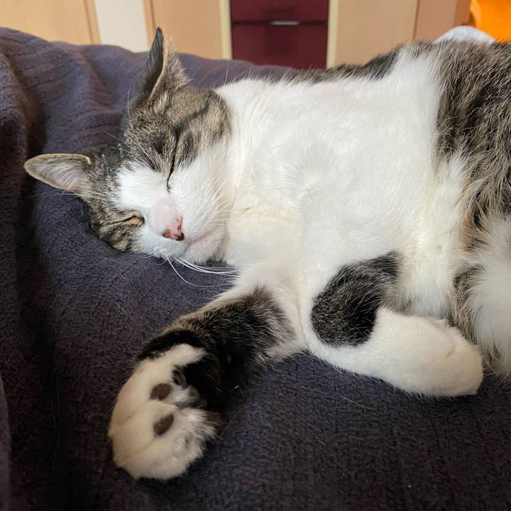 6277e2b5 7121 4c9a a43f 6dc3f350ee41 1652392442756