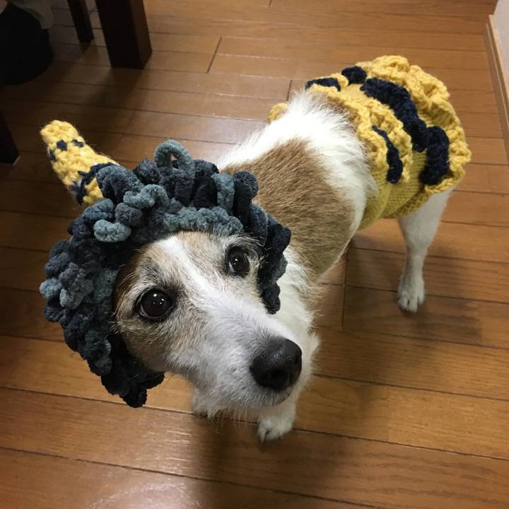 62781e20 0aac 4876 bbc7 6d7ba3e6d12c 1643844494599