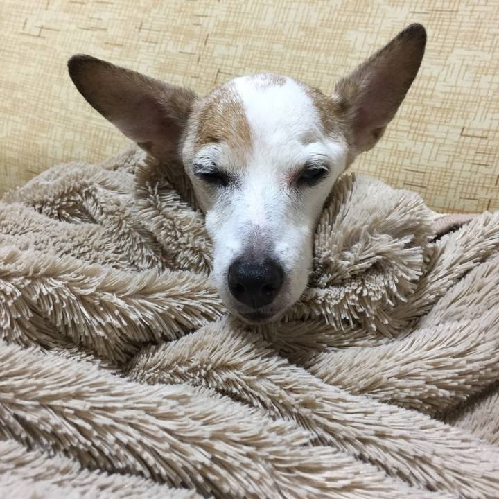 627838d5 2307 484d 8666 57350cd352d9 1572323906969