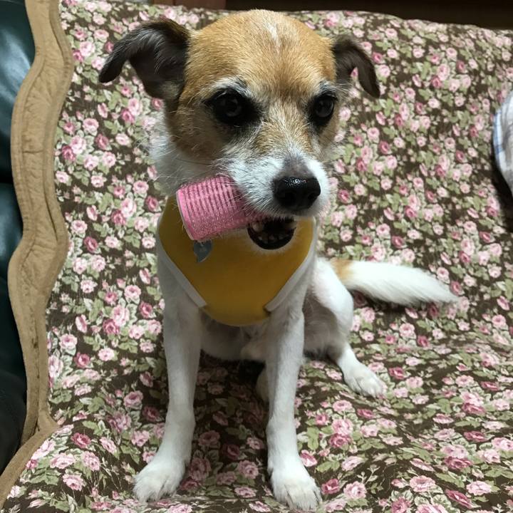 6278a833 6fed 4ae4 bea5 df3b1655e6f2 1565259846244