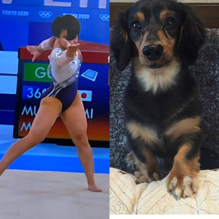 6278c5ca c737 487a 8349 791feef29786 1627946624603