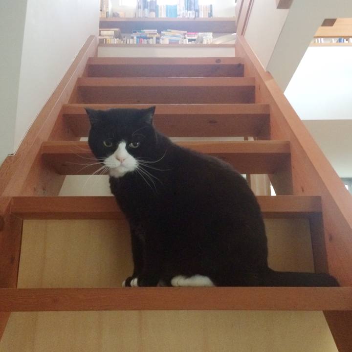 6278f4bf 1c05 4aec b1f6 596265db0ddb 1522886572072