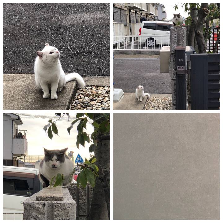 627901fa 5b27 4d6e 8a31 a3f4c12c295e 1612484627402