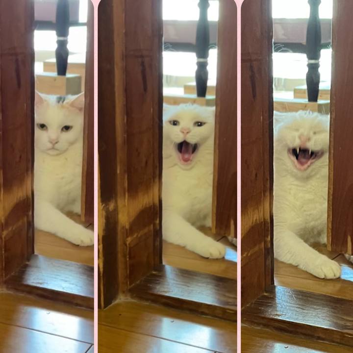 62790b59 8f13 4dd2 8f29 180cd9929562 1691797004363