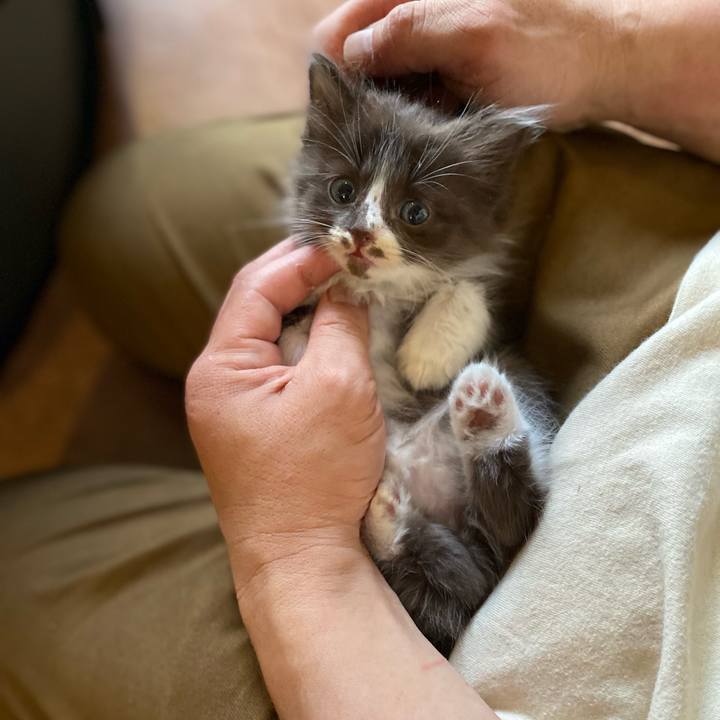 62794cf1 4935 49d4 b87f faf592105b0e 1684662934014