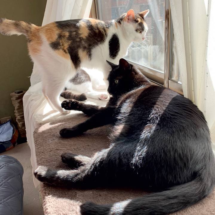 62796423 c00e 4157 a7bf e47d0a90d755 1538707941251