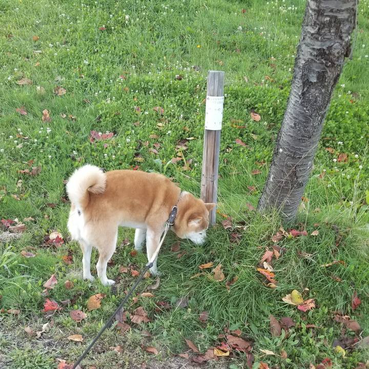 62796db6 af86 4b32 b60a 9248e2738c63 1666250086485