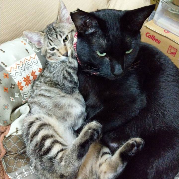 62797a29 39ca 4718 a89e daf7c13d61ec 1582955237778