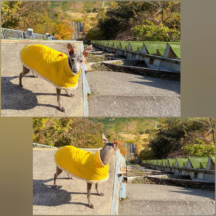 6279b5e8 c20c 454a 9fff 4736bbd39197 1763895039108