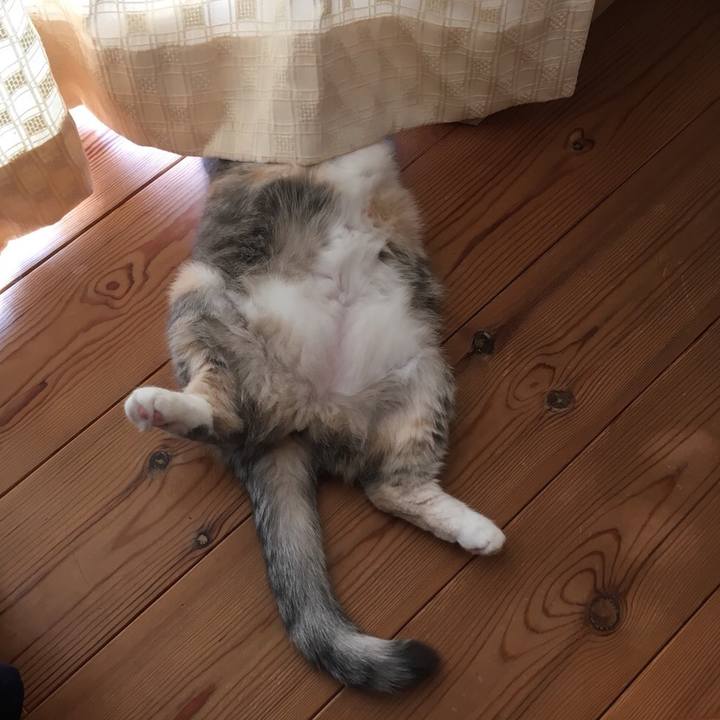 627a1235 7139 4f1d 88ba 833d8cdb6f50 1539411990787