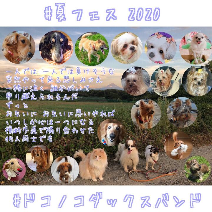 627a310c 2a76 4189 be57 e9e1b1e9e06c 1597330523536