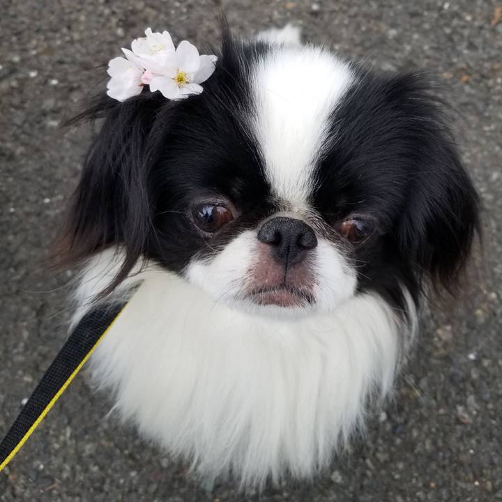 627a60a3 4083 4408 836e 774d8325d11b 1648987254322