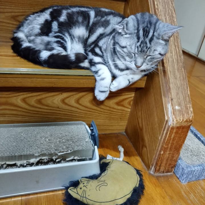 627a8529 b7f0 44a4 b29f 28e032e90861 1634990412430