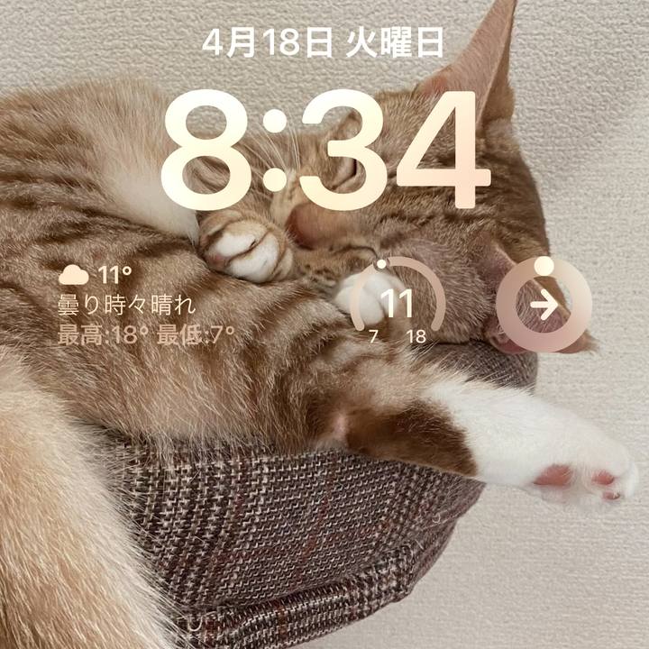 627a8caa 9992 401e b4ee 3978b78b2283 1681774568303