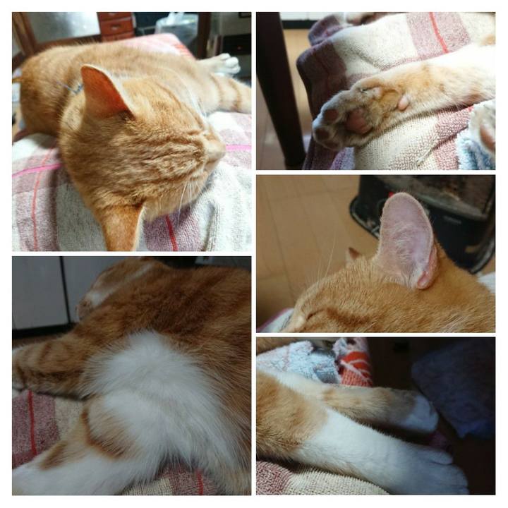 627a90d7 7c51 4c56 ae3f aec8ce53a3f4 1606010860539