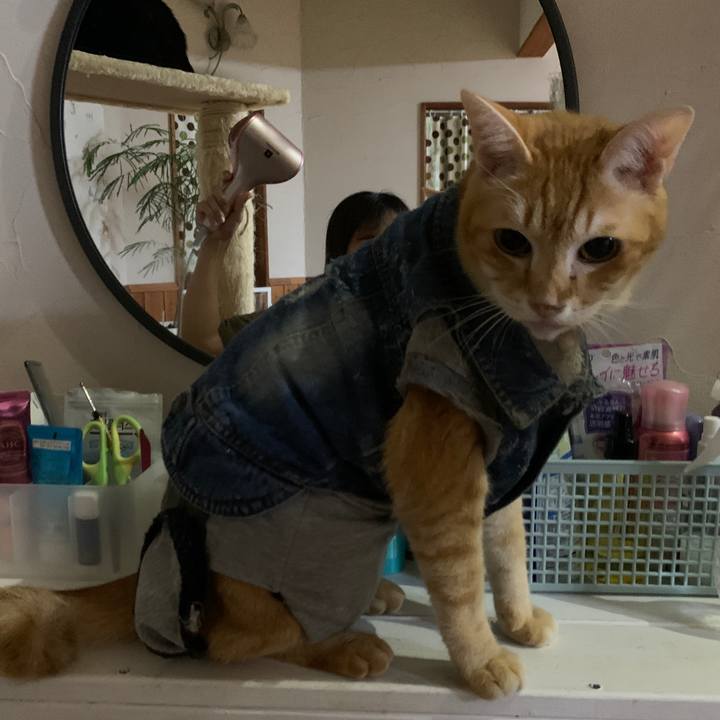 627ae2c3 d403 4cf4 85fa 7b97678138fc 1661340399640