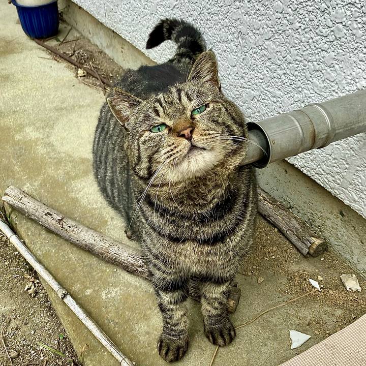 627af524 5b99 486d 9122 1405361b1d98 1648022899977