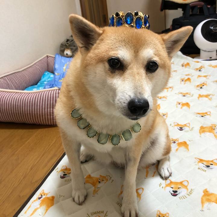 627b14ee c4f9 4a45 975d 8ef78c208f85 1564036431457