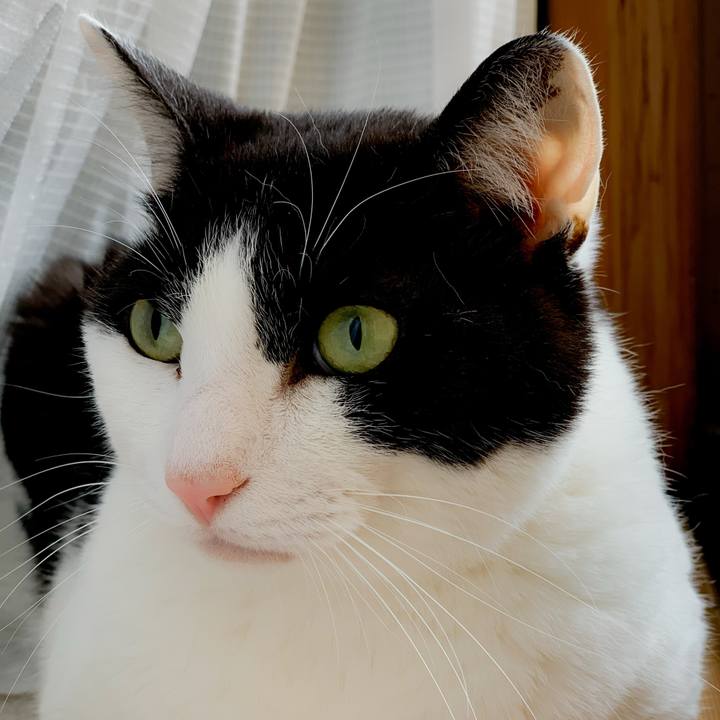 627b26ee 004f 4e53 890a 1e7947bf6058 1591062593612