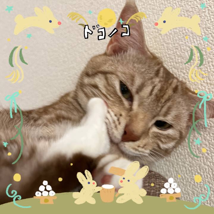 627b28dd 10f7 4ff3 9a5c c2eb8e1bbe89 1726920399879