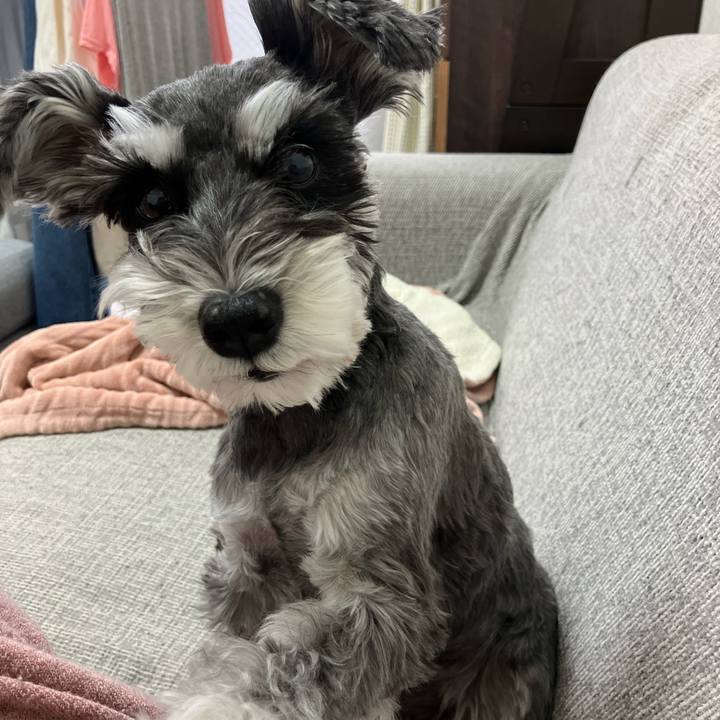 627b4851 0b86 4651 8a8f 9e4428a6dbb3 1766643570261