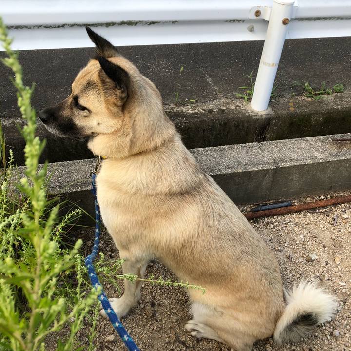 627b63ca 8336 4ba8 ac1b 389ed0e3a1f5 1568376012761