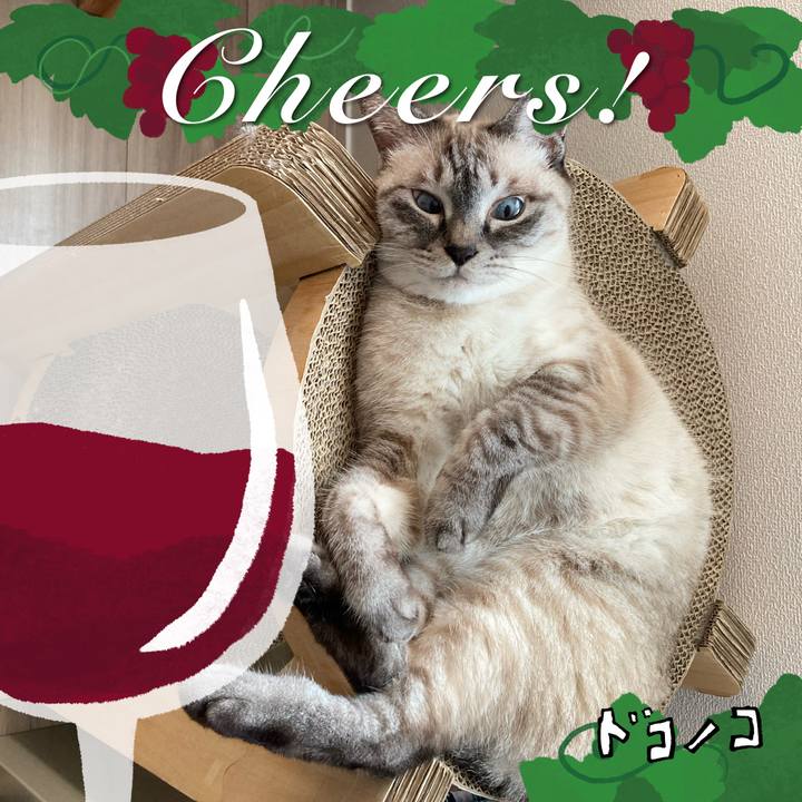 627b9d10 9c64 4fa4 a1d5 3a9d683b42fa 1761193520338