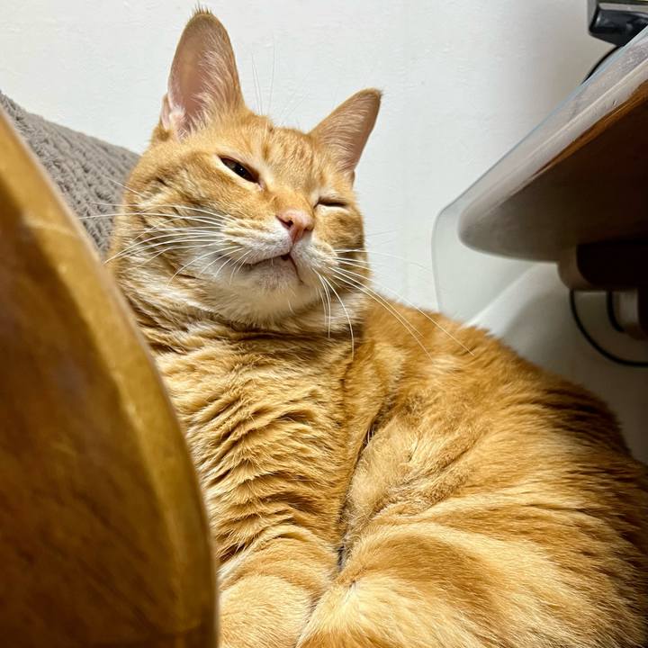 627be61c a21e 414f ad97 69dc6675b3e6 1700517982205