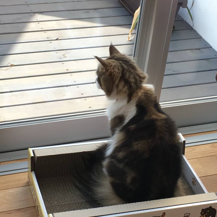 627bf70e a46c 45d3 bc20 9d09cc4e5e88 1518240844465