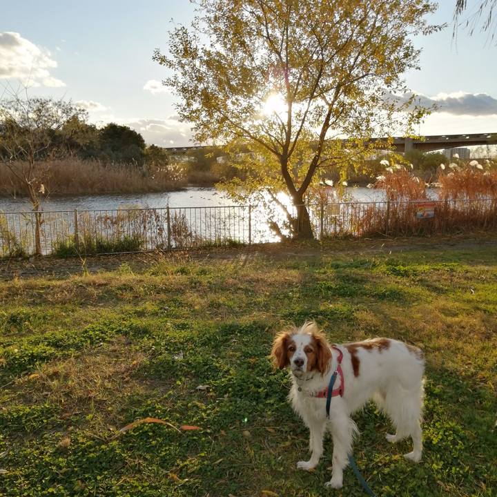 627c1196 3e34 4cc7 aced 6aa3fcd88af5 1608021807886