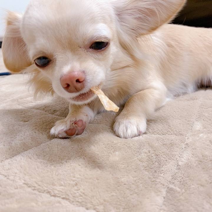 627c2808 f528 4c10 9ecd a25f8d48b0d1 1616043336419