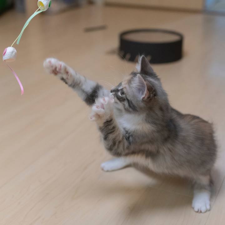 627c3297 45cb 4399 8cd6 22740dbdecae 1537498833483