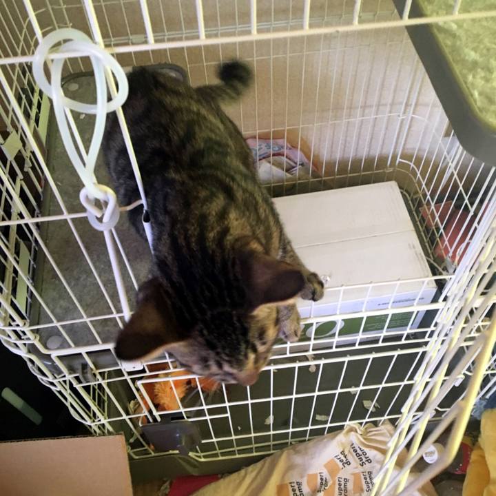 627c5772 26a3 4d0c 9d0c 437788e86d73 1538441763951