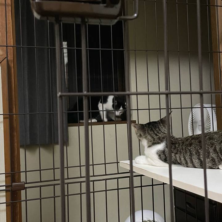 627ca107 89dc 4545 9cf7 b71b29fed0f0 1724015108557