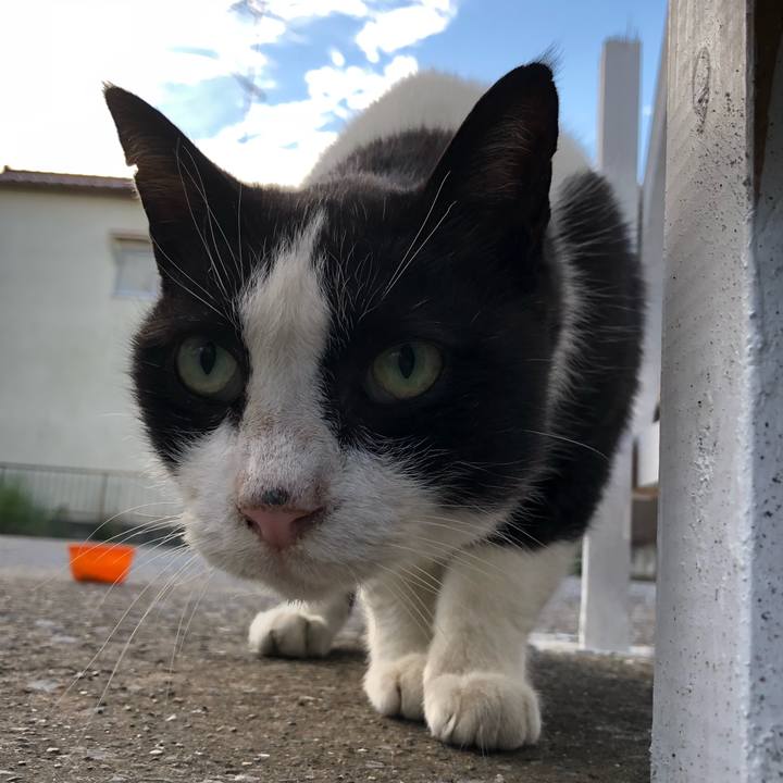 627ca4b5 d262 4306 8c43 ceddb7afbfa6 1540993785892