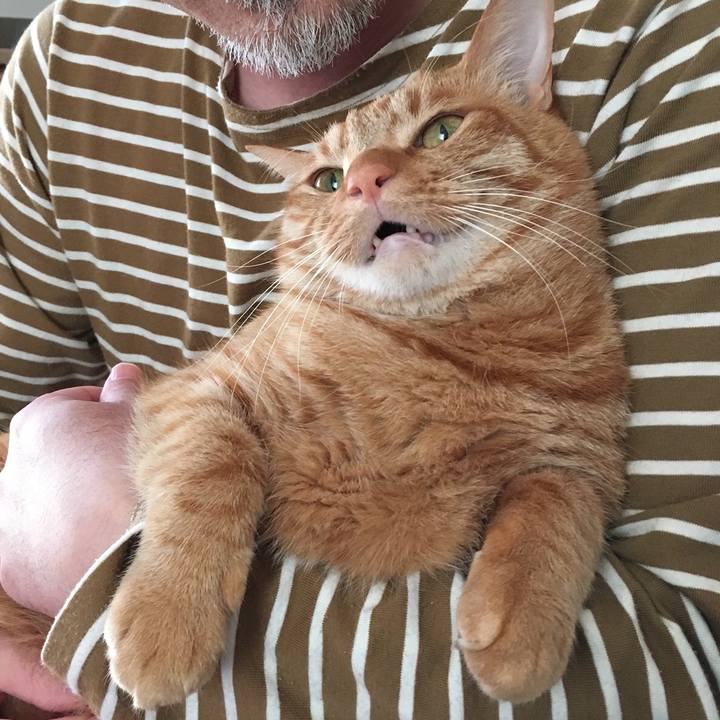 627cb339 3fd6 4b83 82e5 bd5767aa7751 1521690355913