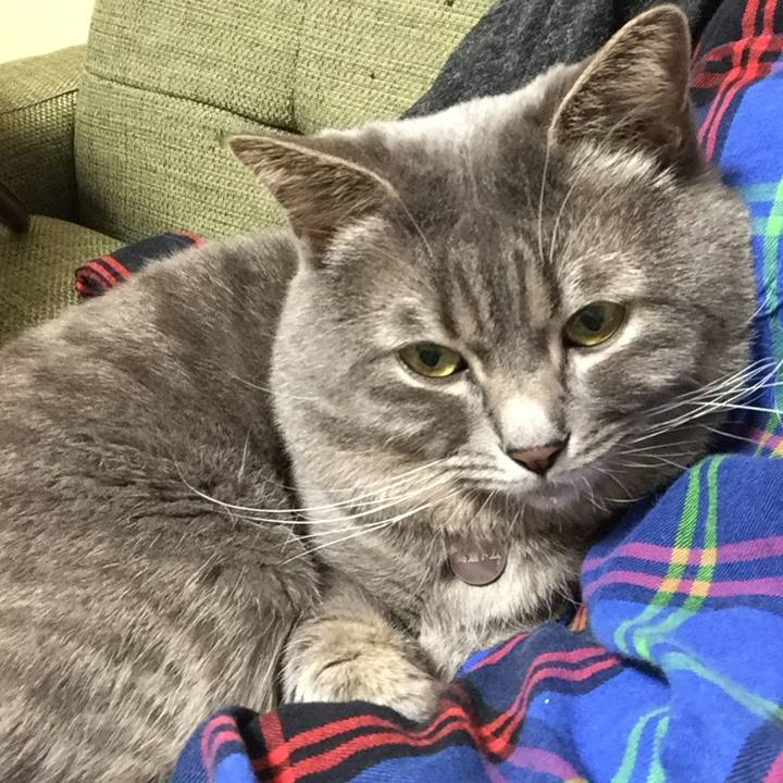 627cc994 ea3d 4783 b7db 9650054b2f75 1767439662816