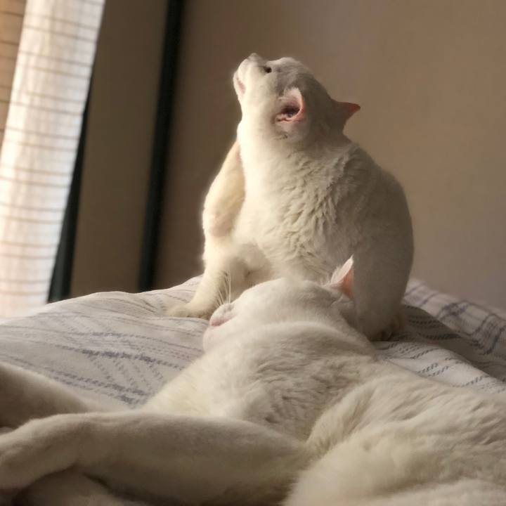 627cd043 70fe 42fe b0c6 7bb1b8435b6a 1561292355140