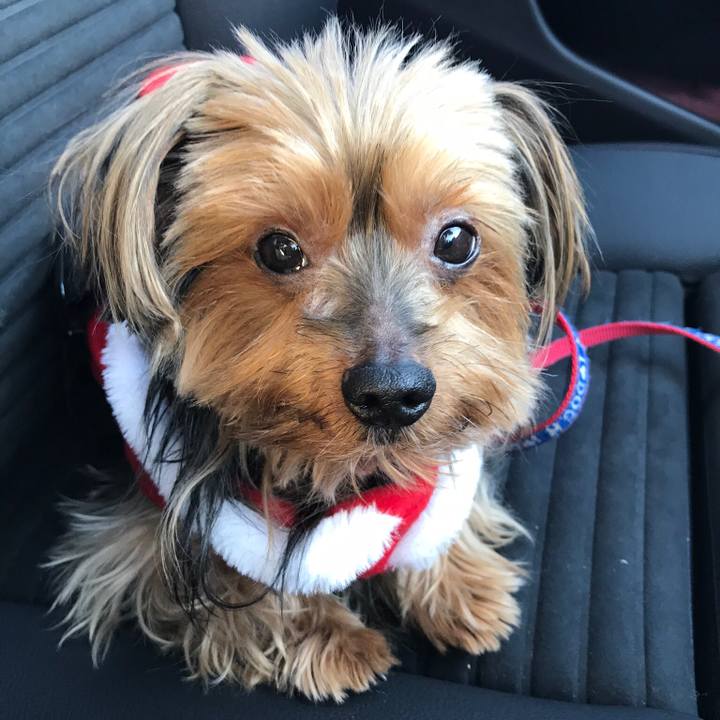 627ced85 87d4 4e4b 843b 96f3055c0bbe 1513989126443