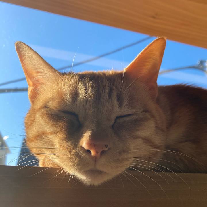 627d00df 12be 47a1 abcb 3436dee18b96 1674392480295