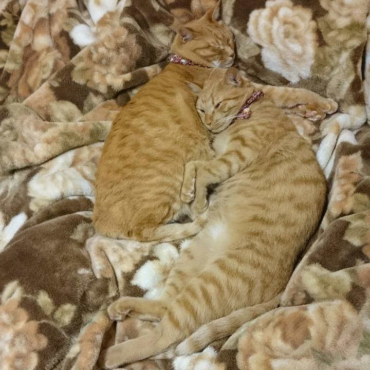 627d0a19 695d 40bc 8d89 3063777f48e4 1559470976220