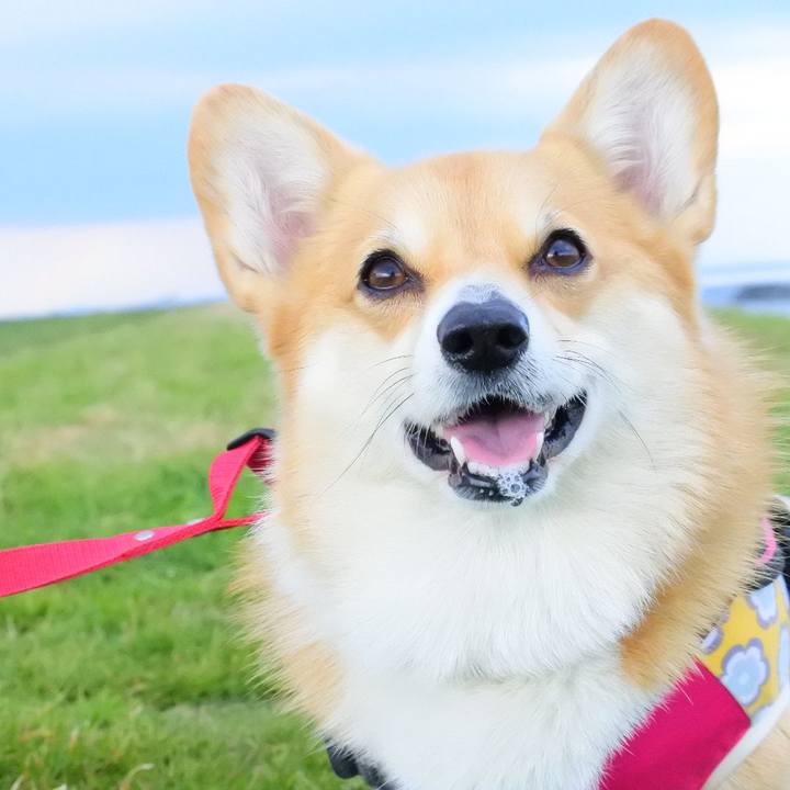 627d2497 c9e4 4ef1 81a4 9cea0ddc86ce 1604763721783