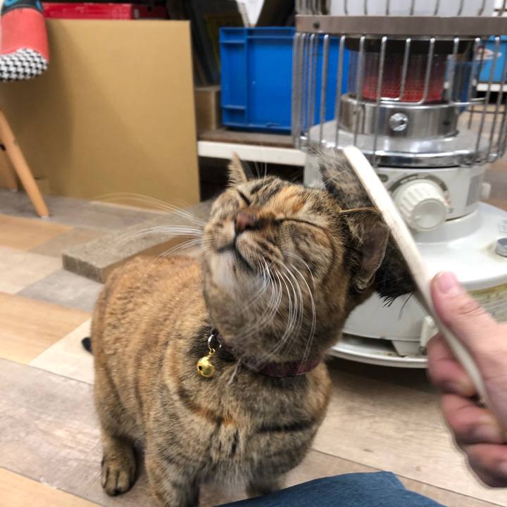 627d55d4 a35b 40eb bf09 74b0dde3fcb1 1638005068179