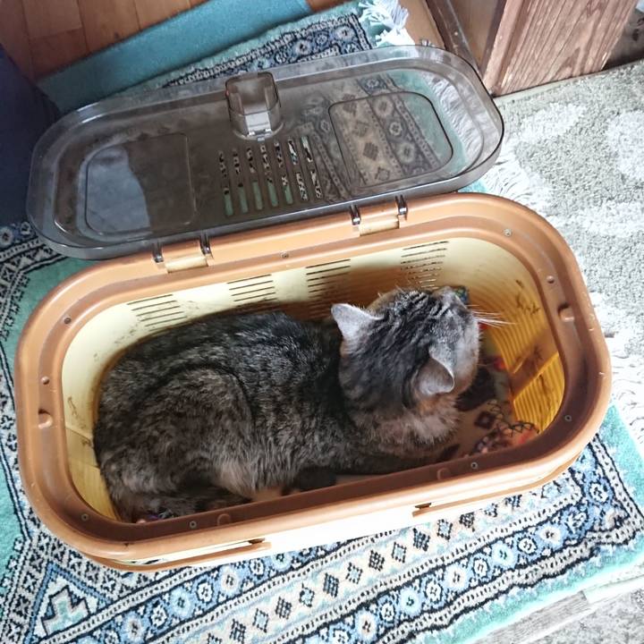 627da7a8 8d41 460c b0a6 2aa87529b0b5 1580544695285